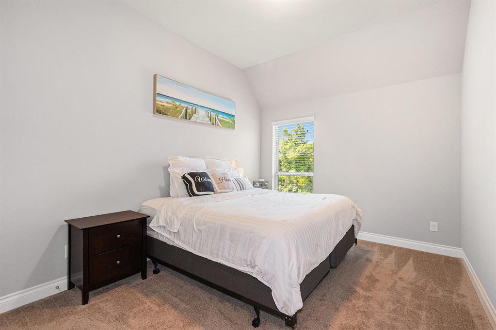 203 Painted Trillium Drive, Conroe, Texas image 20