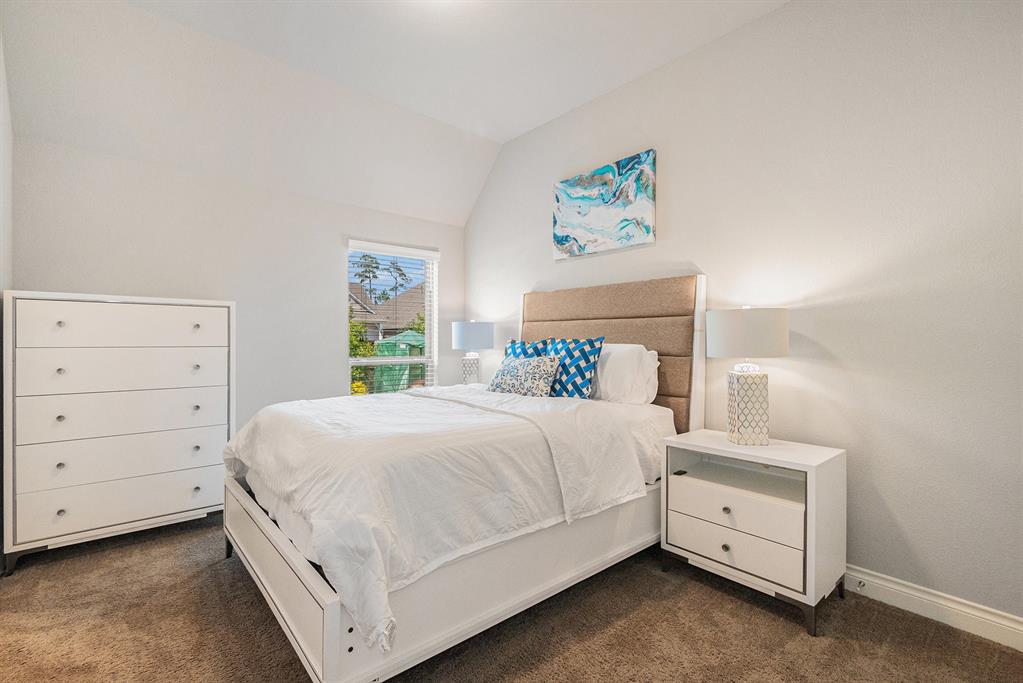 203 Painted Trillium Drive, Conroe, Texas image 18