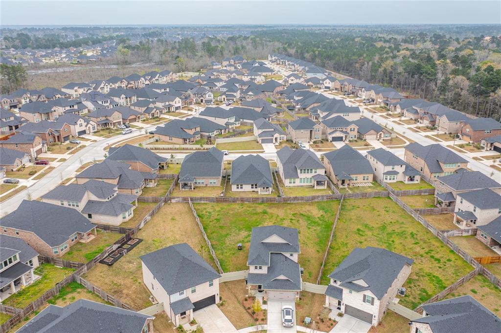 17512 Pond Apple, Conroe, Texas image 8
