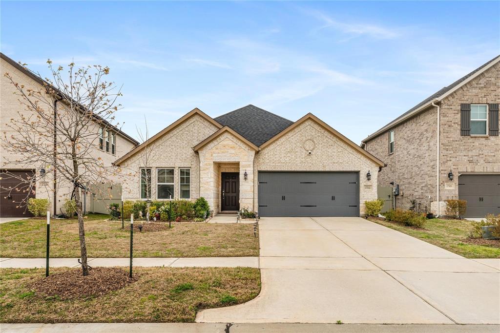 17512 Pond Apple, Conroe, Texas image 2