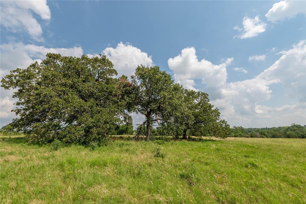 4391 Lynn Road, Chappell Hill, Texas image 5