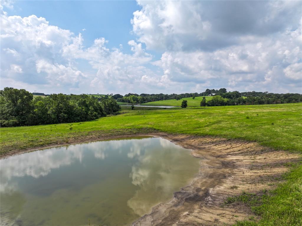 4391 Lynn Road, Chappell Hill, Texas image 8