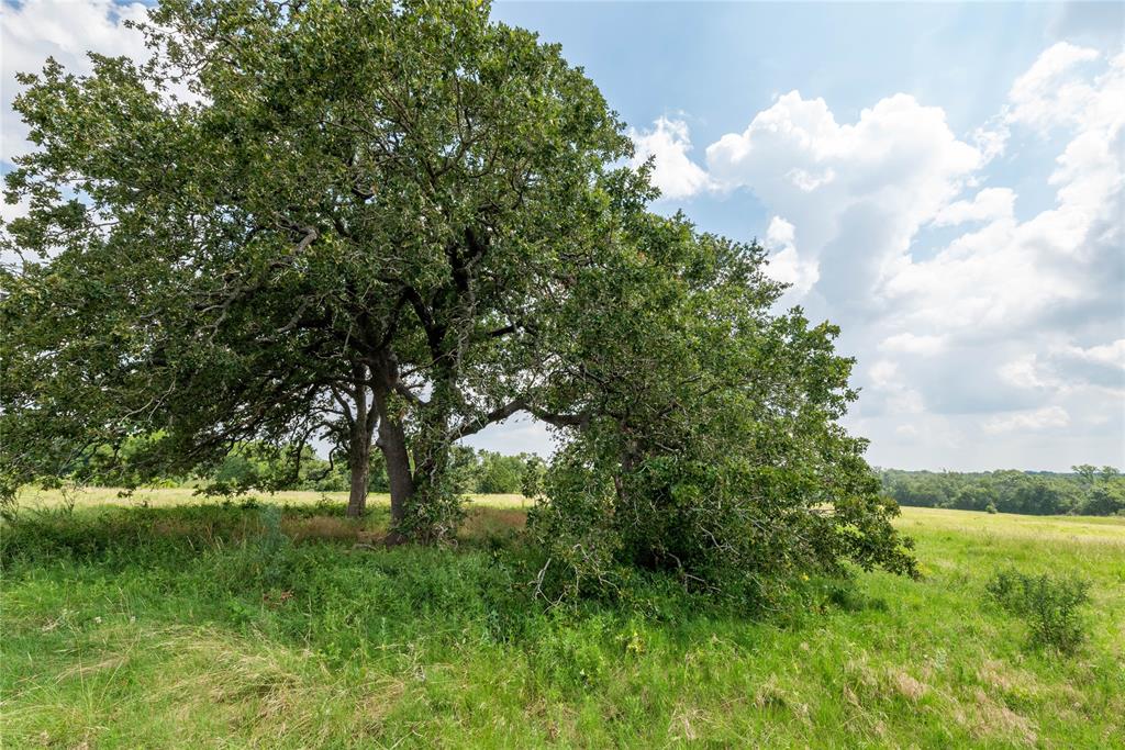 4391 Lynn Road, Chappell Hill, Texas image 4