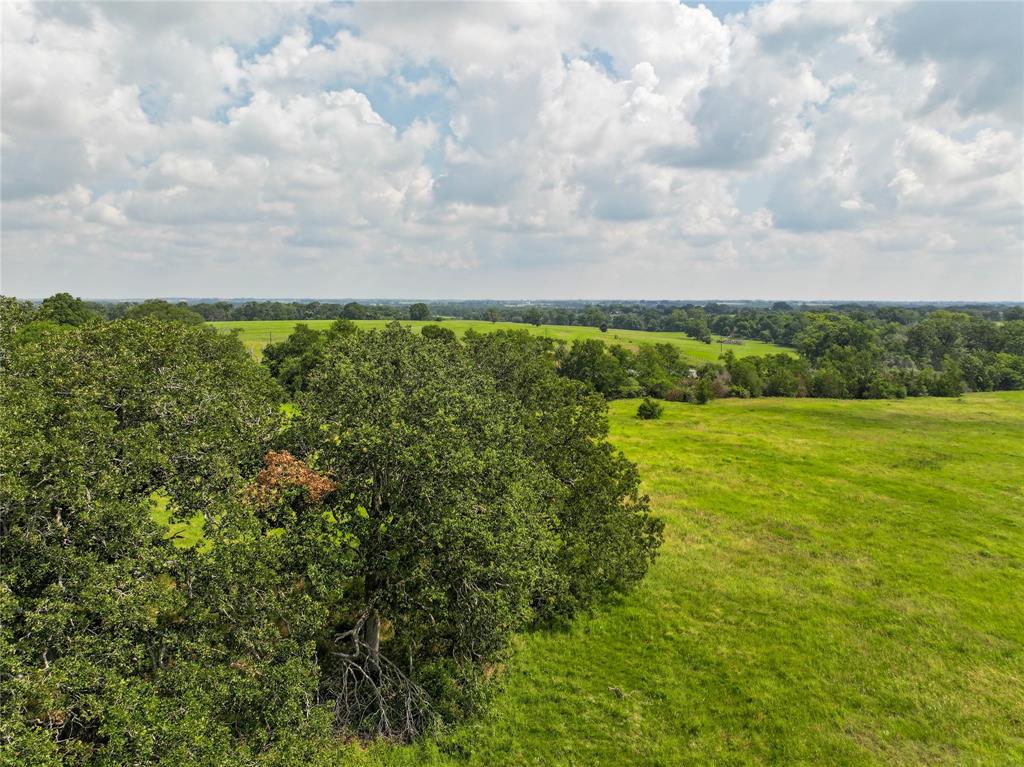 4391 Lynn Road, Chappell Hill, Texas image 1