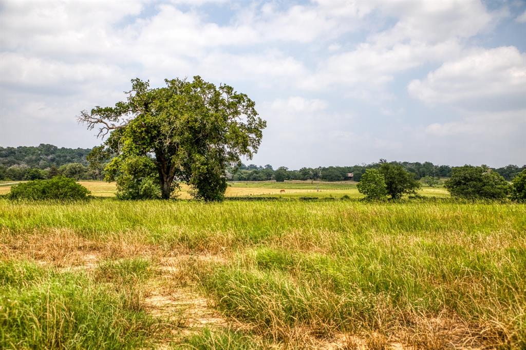 5614 Harwood Road, Luling, Texas image 41