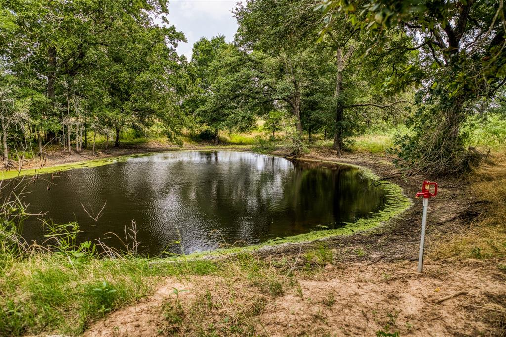 5614 Harwood Road, Luling, Texas image 8