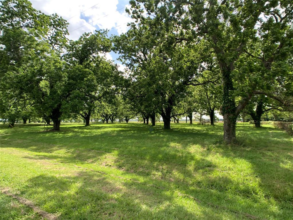 0000 Orchard Drive, Wharton, Texas image 7