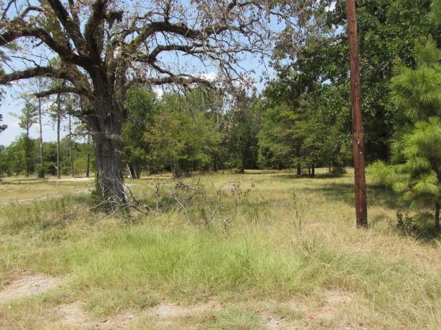 3133 35 Park Lane Land, Huntsville, Texas image 2