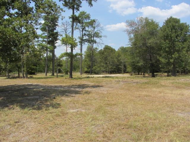 3133 35 Park Lane Land, Huntsville, Texas image 17