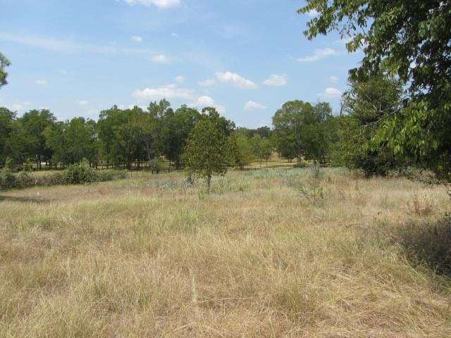 3133 35 Park Lane Land, Huntsville, Texas image 11