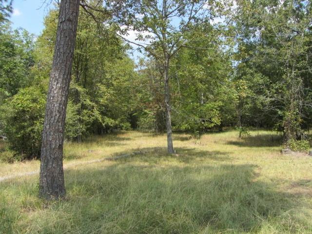 3133 35 Park Lane Land, Huntsville, Texas image 10