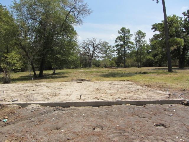 3133 35 Park Lane Land, Huntsville, Texas image 9