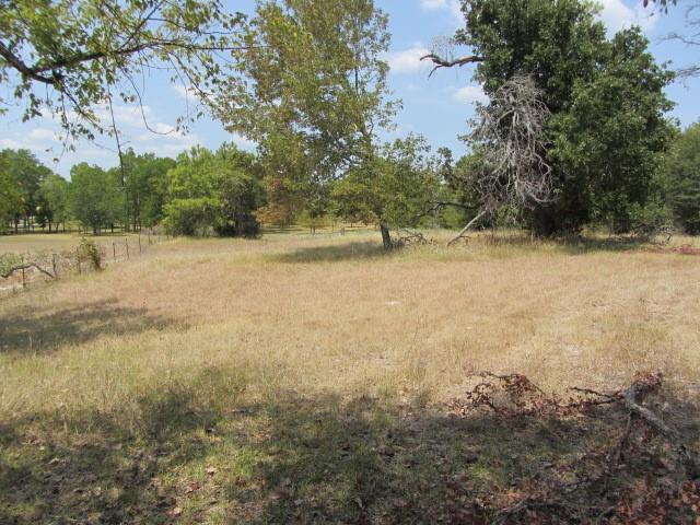 3133 35 Park Lane Land, Huntsville, Texas image 12