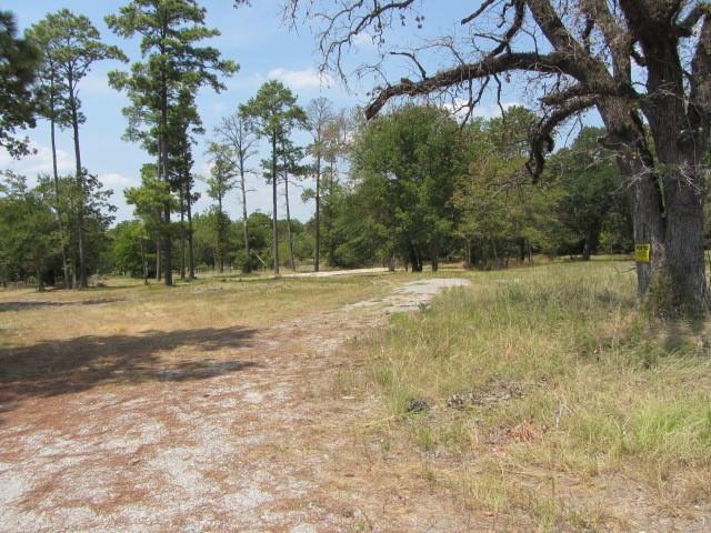 3133 35 Park Lane Land, Huntsville, Texas image 3