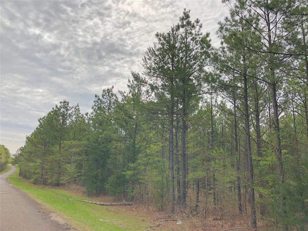 00 Cr 2115, Hughes Springs, Texas image 11