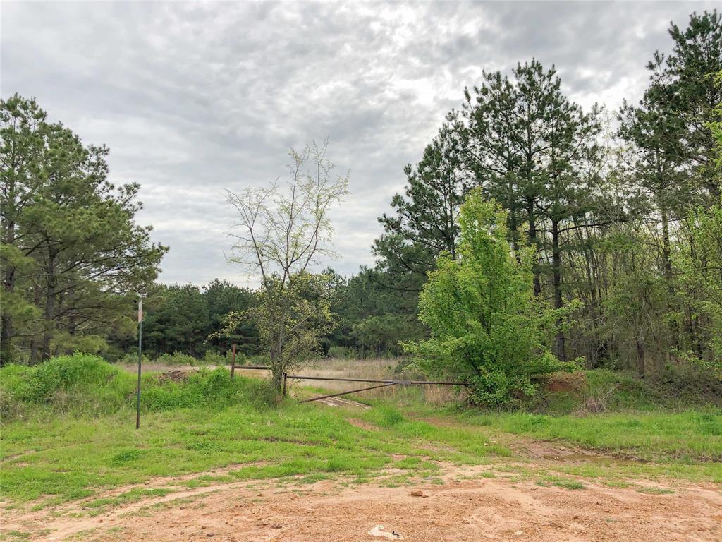 00 Cr 2115, Hughes Springs, Texas image 24