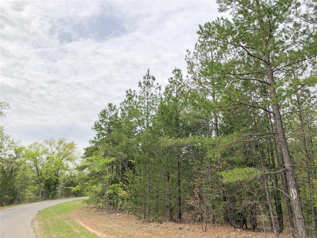 00 Cr 2115, Hughes Springs, Texas image 15