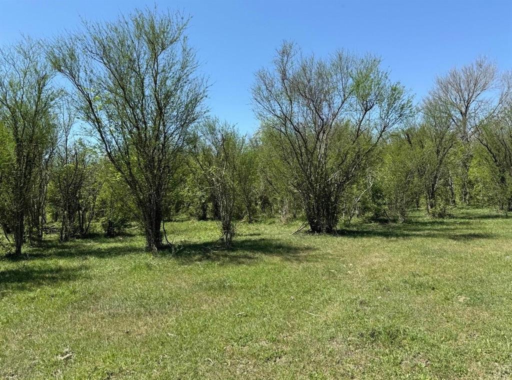 10542 Walker Road, Beasley, Texas image 8