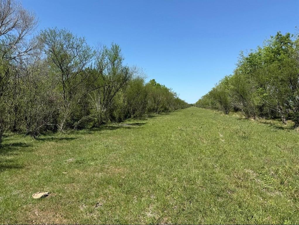 10542 Walker Road, Beasley, Texas image 6
