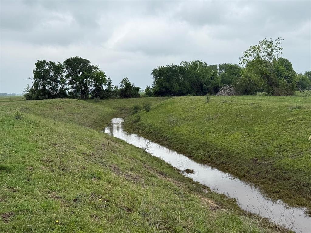10542 Walker Road, Beasley, Texas image 3