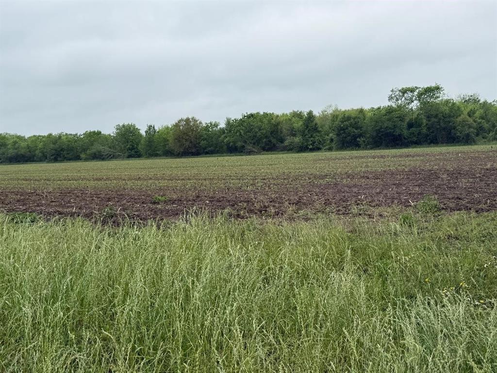 10542 Walker Road, Beasley, Texas image 4