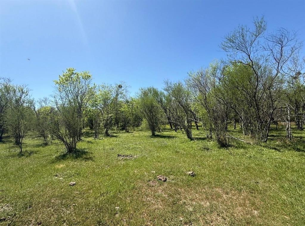 10542 Walker Road, Beasley, Texas image 7