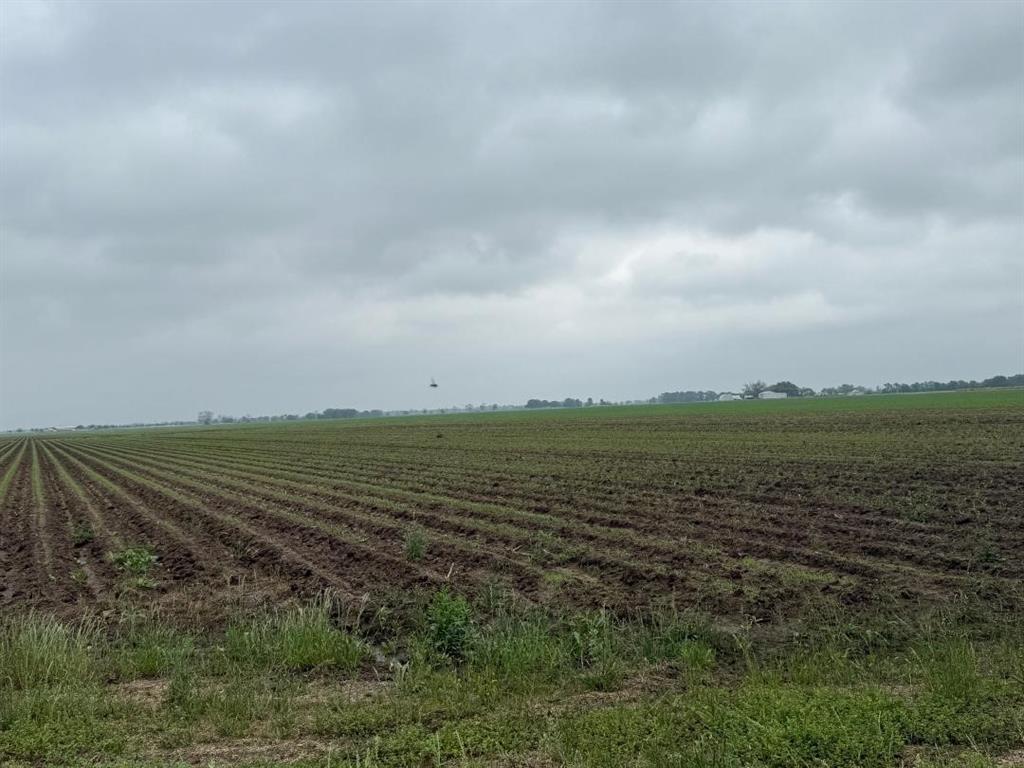 10542 Walker Road, Beasley, Texas image 5