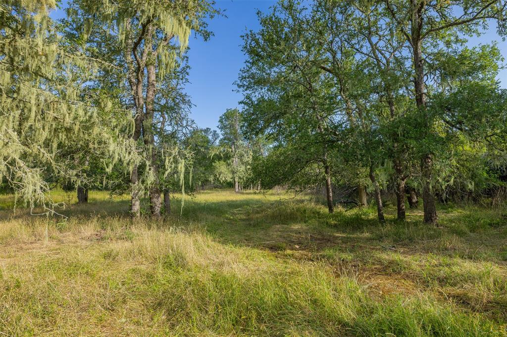 12374 Cr 414, Somerville, Texas image 29