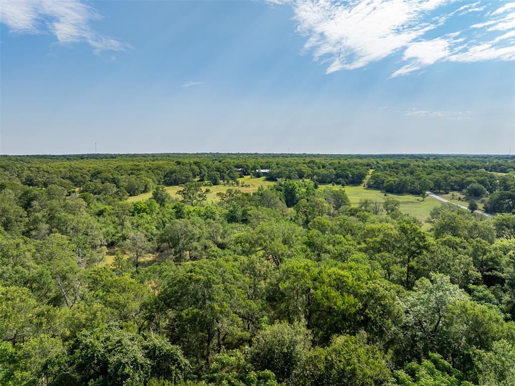 12374 Cr 414, Somerville, Texas image 43