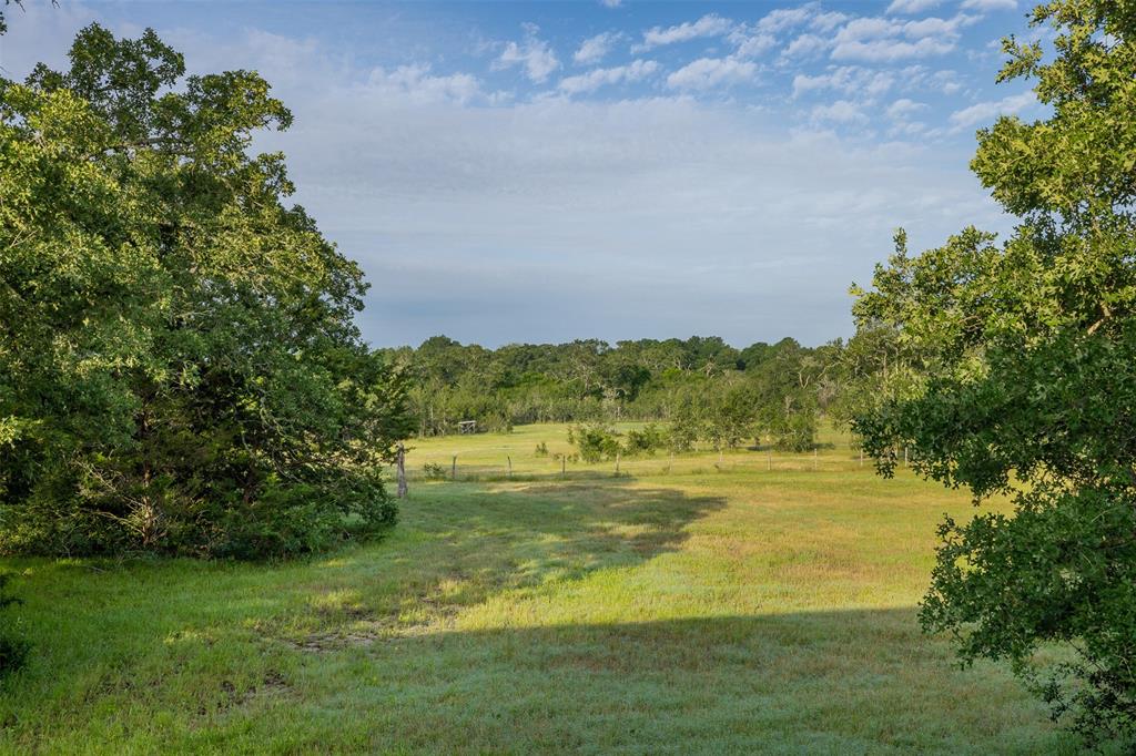 12374 Cr 414, Somerville, Texas image 38