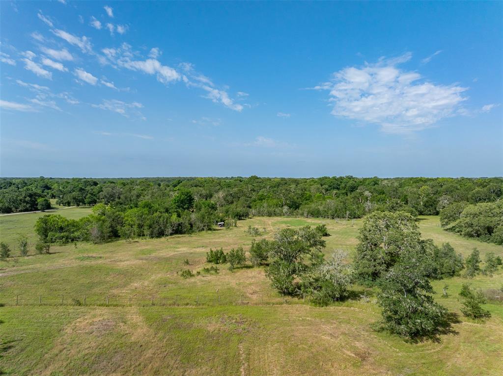 12374 Cr 414, Somerville, Texas image 45