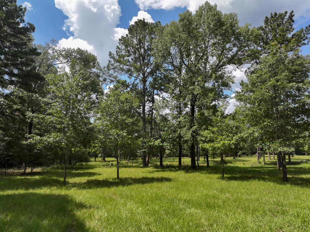 3884 Colita Loop Loop, Livingston, Texas image 25