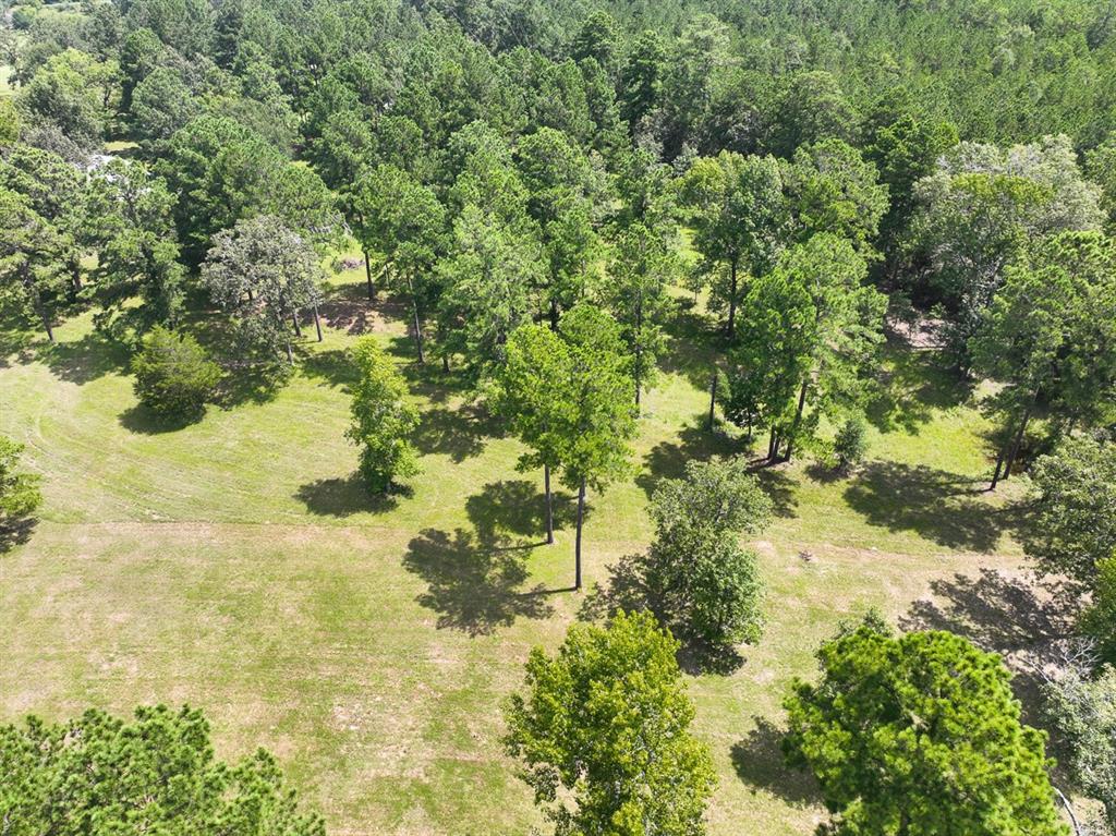 3884 Colita Loop Loop, Livingston, Texas image 24