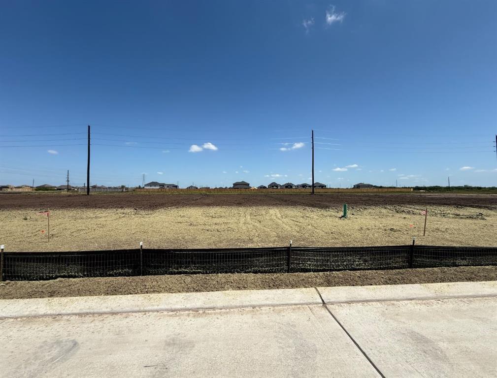 9619 Poinsettia Haven Lane, Richmond, Texas image 4