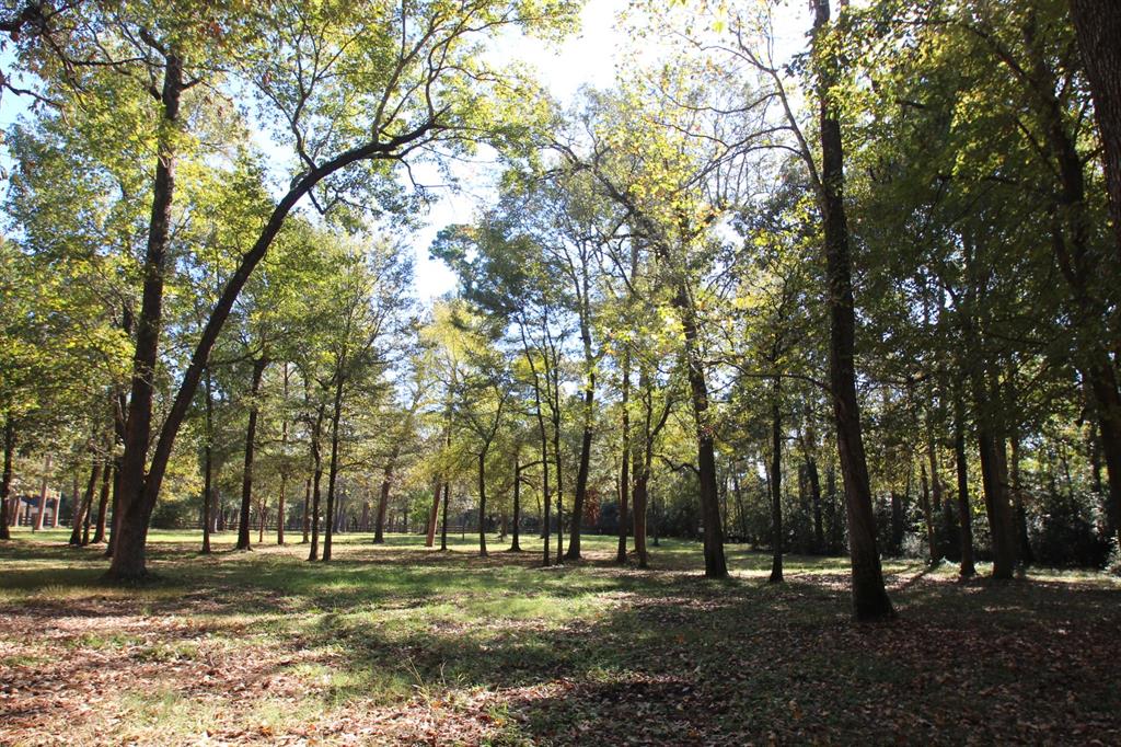 12633 Pearson Road, Montgomery, Texas image 42