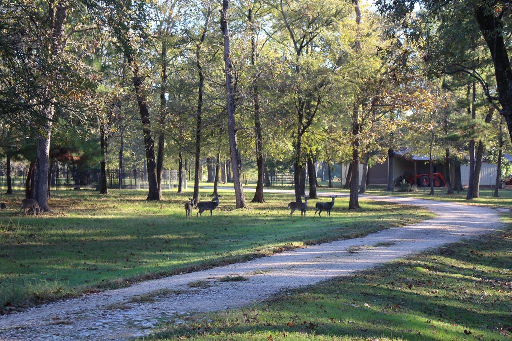 12633 Pearson Road