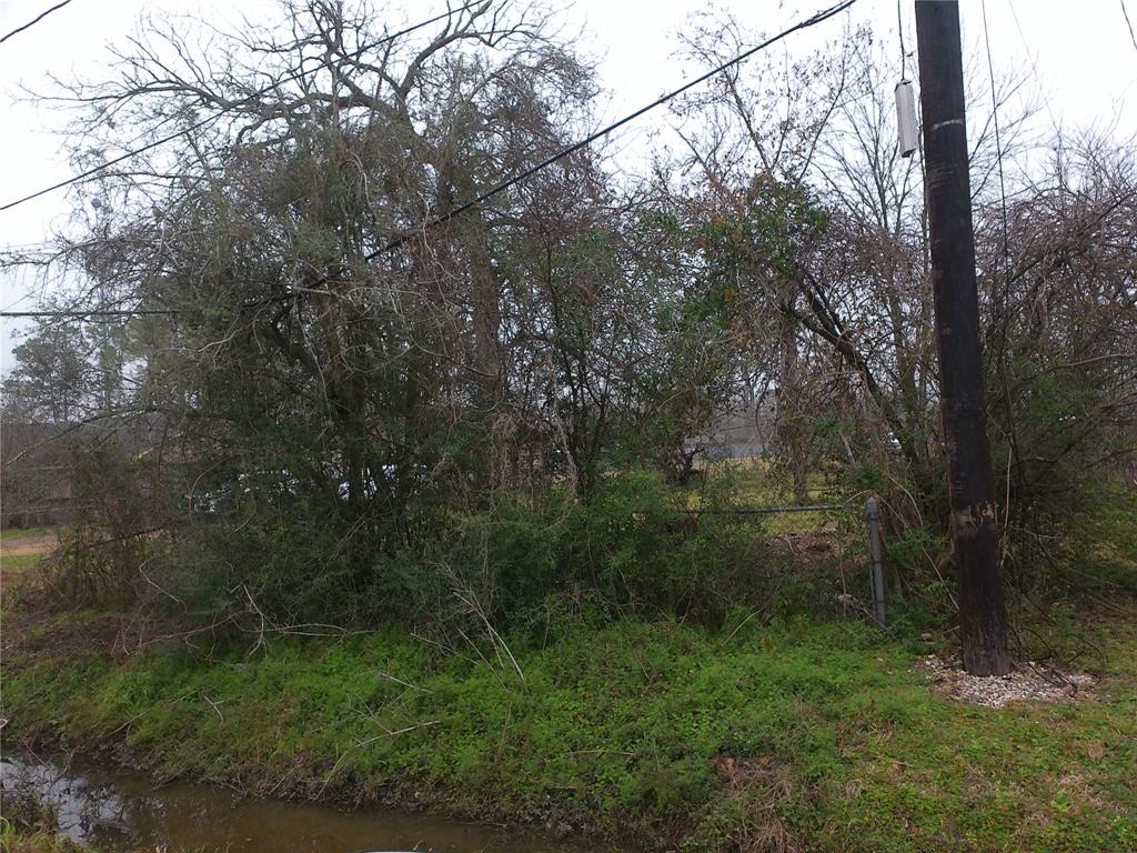 8926 Heatherside Street, Houston, Texas image 5