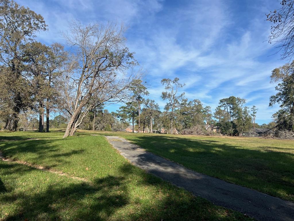 Burning Tree Road, Kingwood, Texas image 9