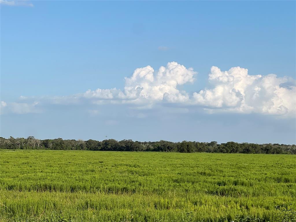 00 County Road 394, El Campo, Texas image 15