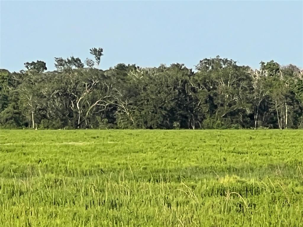 00 County Road 394, El Campo, Texas image 18