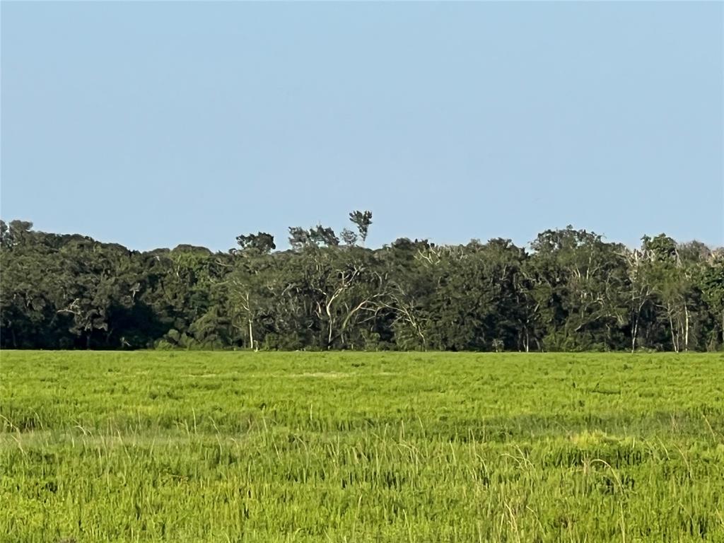 00 County Road 394, El Campo, Texas image 21