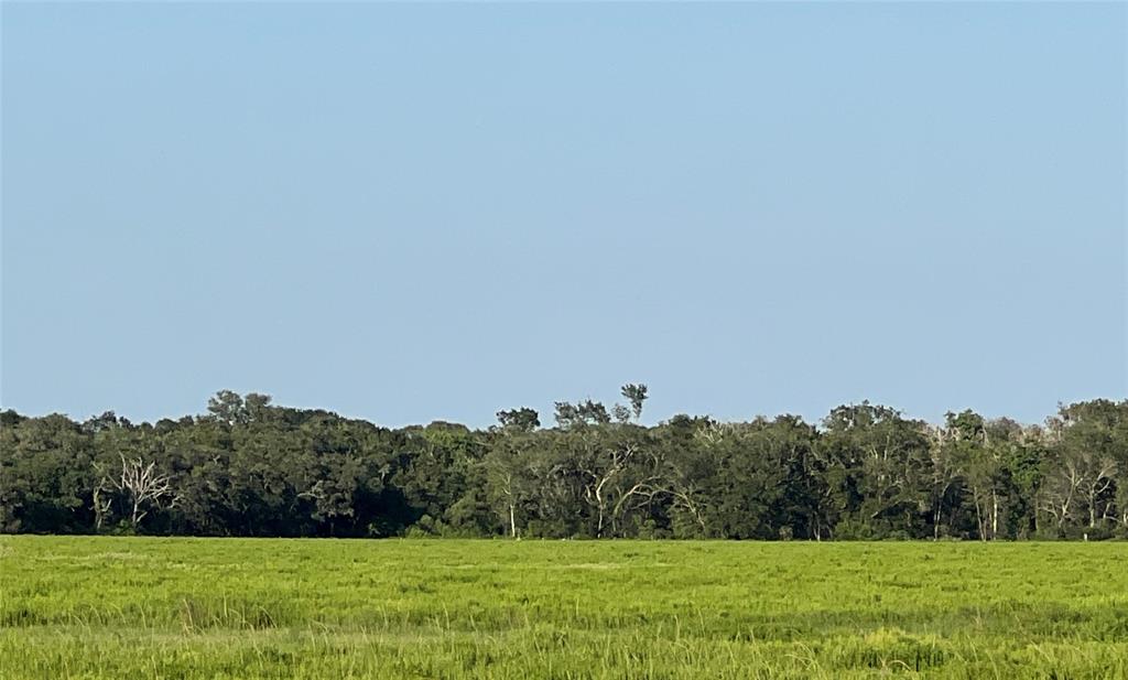 00 County Road 394, El Campo, Texas image 16