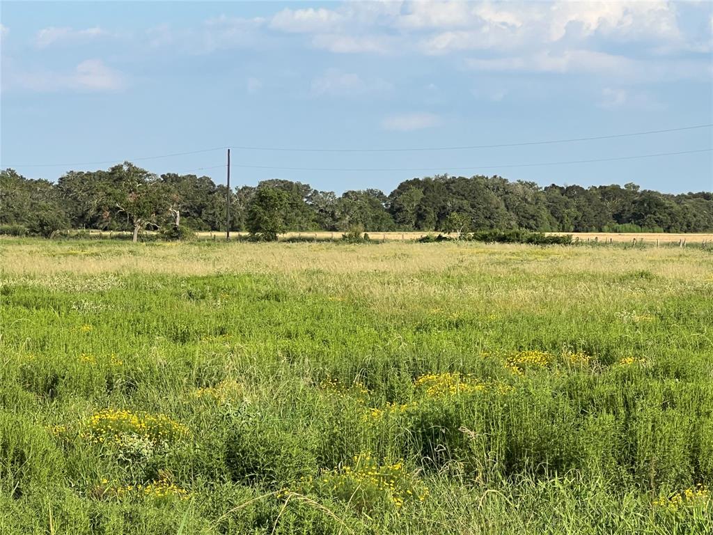 00 County Road 394, El Campo, Texas image 11