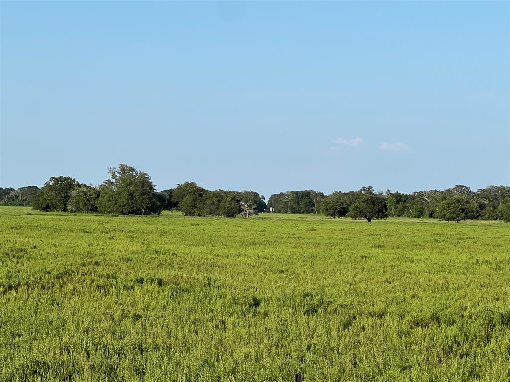 00 County Road 394, El Campo, Texas image 8