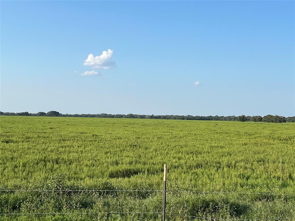 00 County Road 394, El Campo, Texas image 7