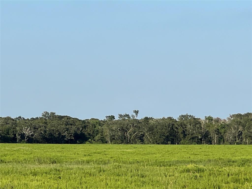 00 County Road 394, El Campo, Texas image 17