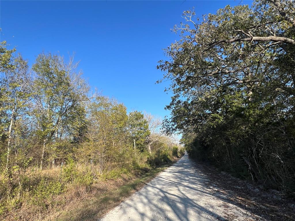 0010 Fm 2562 And Cr 218 Road, Richards, Texas image 9