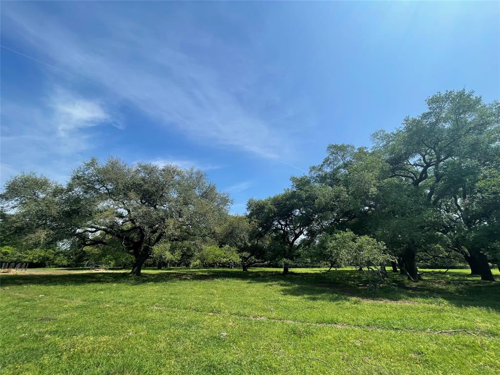 26039 Magnolia Lot 4 Road, Hockley, Texas image 3