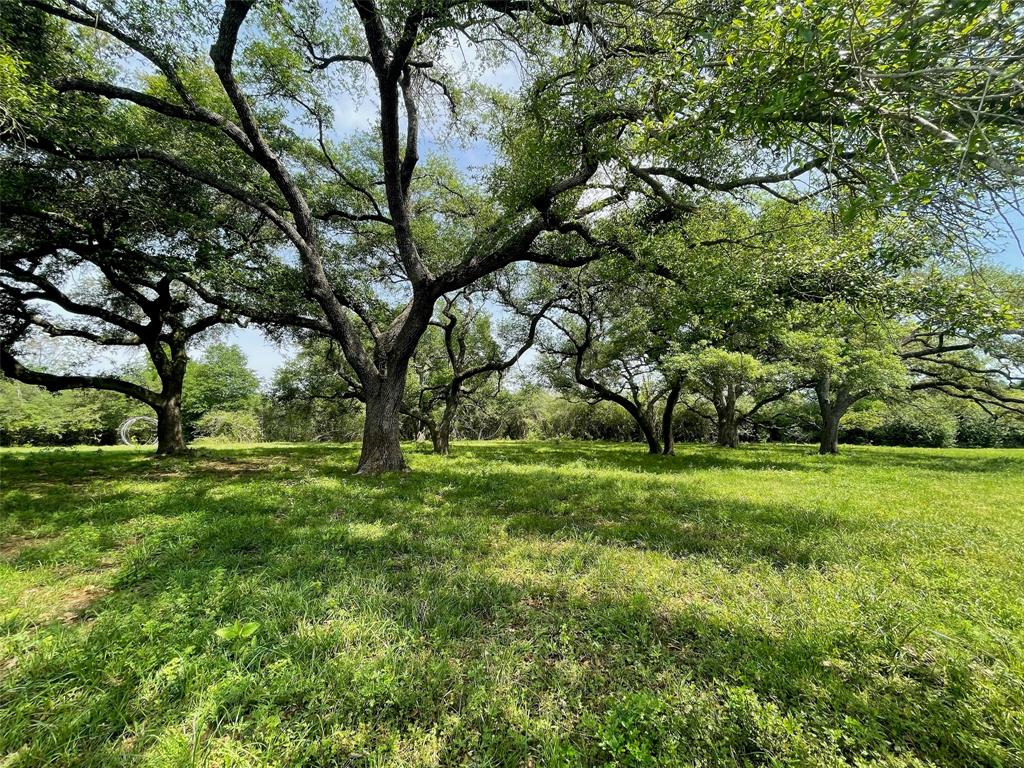 26039 Magnolia Lot 4 Road, Hockley, Texas image 1