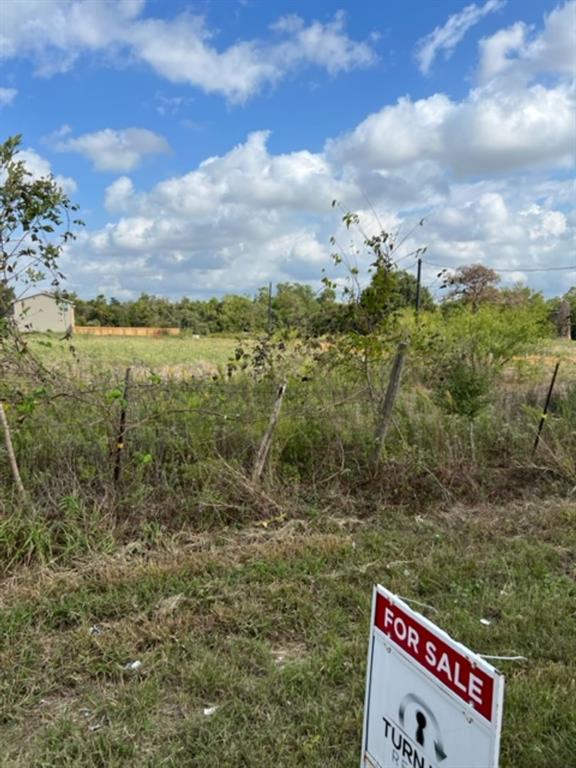 Lot 5 21st Street, Hempstead, Texas image 5